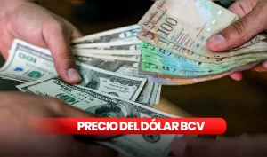 Dólar oficial se ubica en 877,90 bolívares tras ajuste del Banco Central de Venezuela e impulsa recalibración de precios