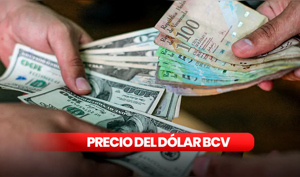 Dólar oficial se ubica en 877,90 bolívares tras ajuste del Banco Central de Venezuela e impulsa recalibración de precios